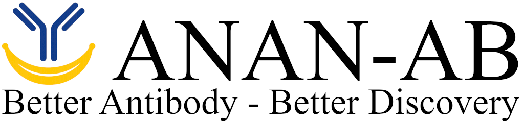 Better antibody