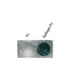 Anti-human OPRL1 Recombinant Monoclonal Antibody ELISA showing specific binding to recombinant epitope-Fc fusion protein.